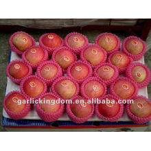 Red Fuji Apple (caixa de 18kg, 100-113-125PCS)